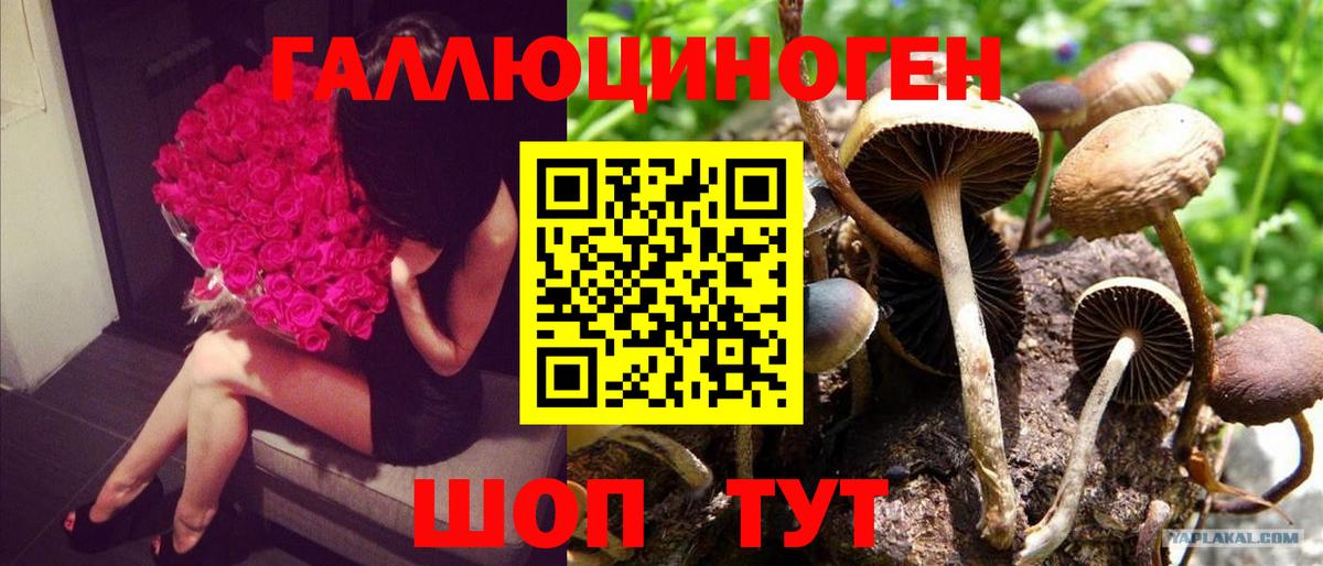 Лангепас  Галлюциногенные грибы мицелий  Вход с VPN  Псилоцибиновые грибы мицелий 